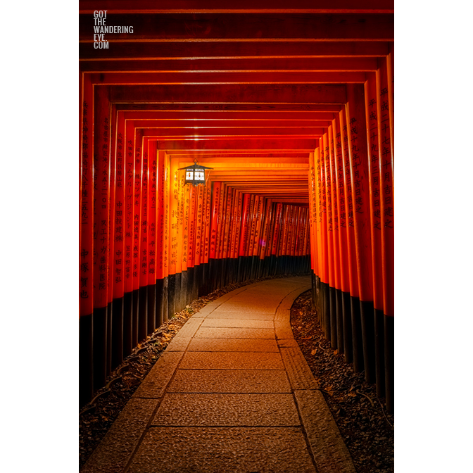 Lone Lantern Fushimi Inari Shrine. 1000 red torii gates from Kyoto lit at night by a lantern.
